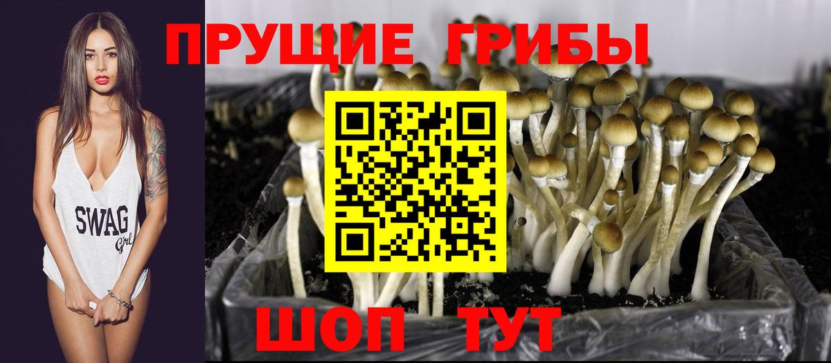 Нижневартовск  Галлюциногенные грибы Psilocybine cubensis  Вход с VPN 